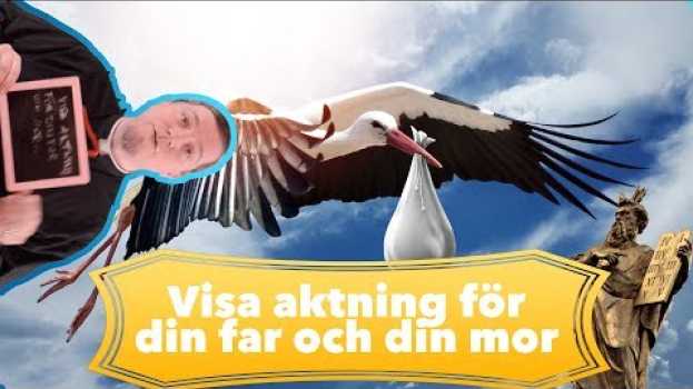 Video    türkçe