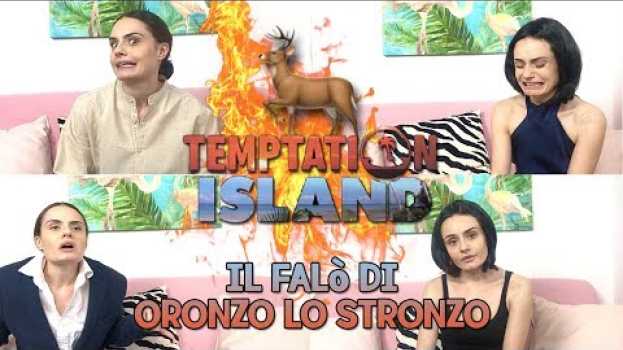 Video 🏝️🦌TEMPTATION ISLAND - ORONZO LO STRONZO🦌🏝️ en español