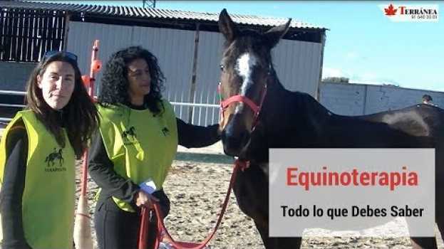 Видео EQUINOTERAPIA: ¿QUÉ ES? ¿QUÉ BENEFICIOS TIENE? на русском