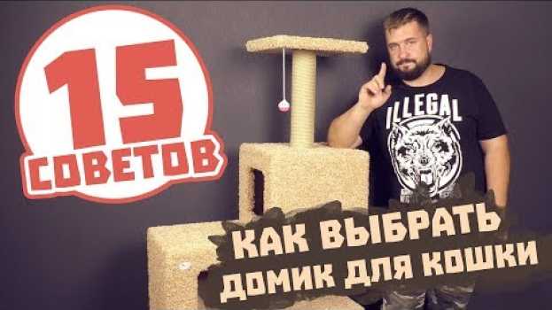 Video 15 советов КАК ВЫБРАТЬ ДОМИК ДЛЯ КОШКИ и не пожалеть о покупке! in English