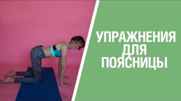 Video Упражнение для спины КОШКА во время беременности и после родов. Поясничный гиперлордоз su italiano