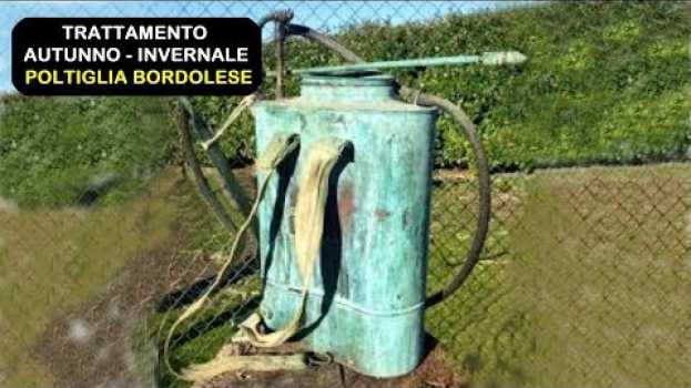 Video TRATTAMENTI INVERNALI ALBERI DA FRUTTO, quando e come farli po polsku