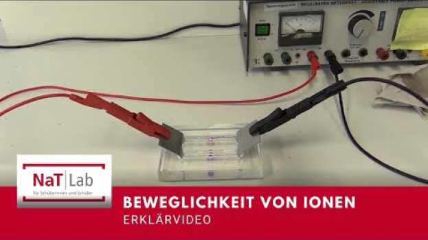 Видео Erklärung zur Beweglichkeit von Ionen – die "Ionenwanderung" на русском