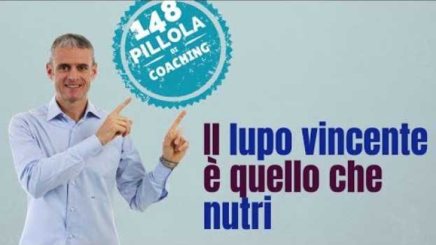 Video «Il lupo vincente è quello che nutri» (Nel bene o nel male, diventiamo ciò che pensiamo) en français