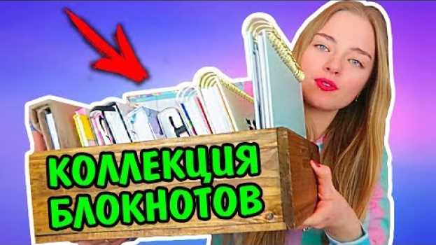 Video ВСЕ МОИ БЛОКНОТЫ МОЯ ОГРОМНАЯ КОЛЛЕКЦИЯ БЛОКНОТОВ Ната Лайм po polsku