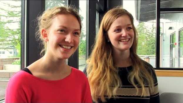 Video Gap Year - International Programs su italiano