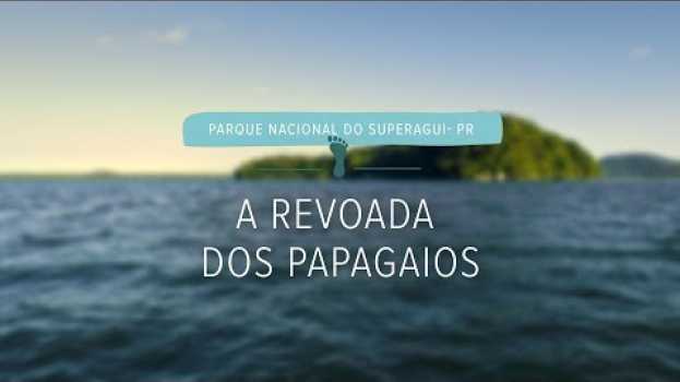 Video A revoada dos papagaios | Parque Nacional do Superagui (episódio 3)   türkçe