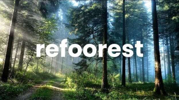 Video Planter des Arbres Gratuitement in English