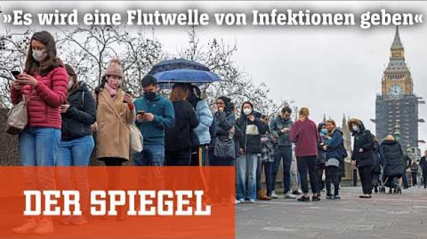 Video Regierung Johnson warnt vor Omikron: »Es wird eine Flutwelle von Infektionen geben« | DER SPIEGEL in English