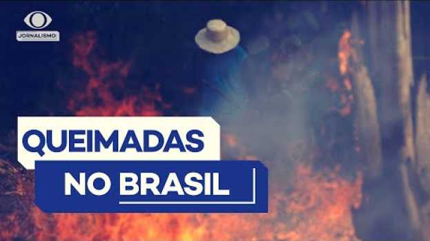 Video Entenda como as queimadas acontecem no Brasil   türkçe