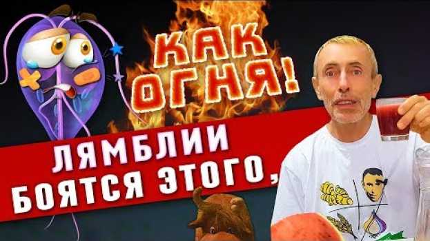 Video ЛЯМБЛИИ БОЯТСЯ ЭТОГО, КАК ОГНЯ! Островский. Лямблиоз, травы от паразитов, глисты коктейль для спорта in English