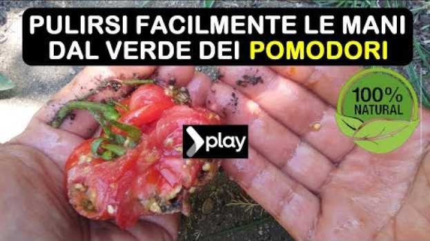 Video PULIRSI FACILMENTE LE MANI DAL VERDE DEI POMODORI   türkçe