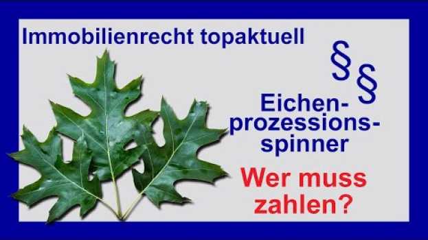 Video Eichenprozessionsspinner entfernen - Wer muss zahlen? | Tutorial em português