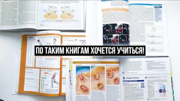 Video Листаем мои АМЕРИКАНСКИЕ УЧЕБНИКИ по БИОЛОГИИ и НЕЙРОБИОЛОГИИ! em português