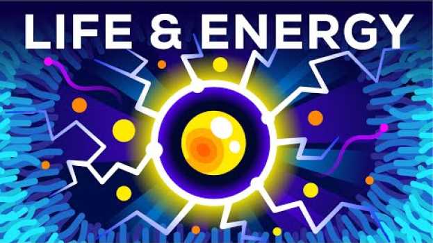 Video Why Are You Alive – Life, Energy & ATP em português