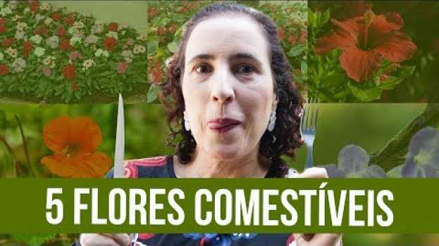 Video 5 Flores Comestíveis que Você Precisa Experimentar | Nô Figueiredo   türkçe