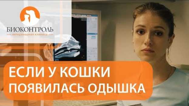 Video 🐱  Одышка у кошки  - причины и методы устранения проблемы. Одышка у кошки. Биоконтроль. 12+ in English