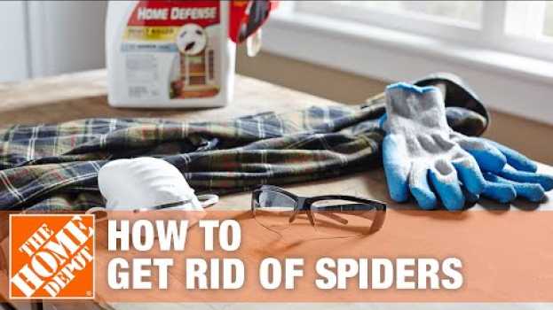 Video How to Get Rid of Spiders in Your House | The Home Depot auf Deutsch