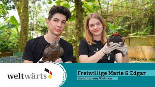 Video Artenschutz-Projekt in Vietnam: Das Turtle Conservation Centre em português