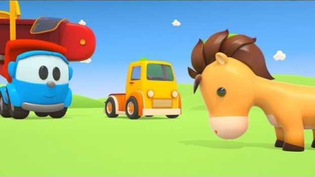 Video Leo il Camion Curioso - Il Cavallo | Cartoni per bambini po polsku