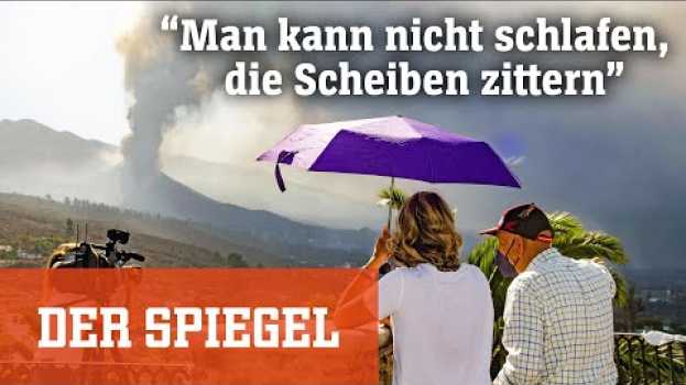 Video Deutscher auf La Palma: »Man kann nicht schlafen, die Scheiben zittern« | DER SPIEGEL su italiano