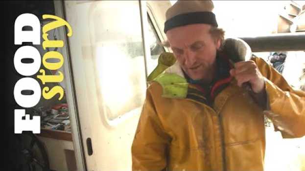 Video Quand y a pas de poisson c’est la dèche pour les pêcheurs en español