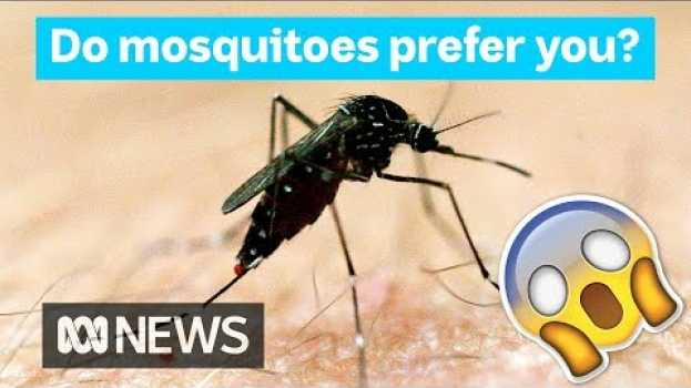 Video Why mosquitoes bite some people more than others | Did You Know? auf Deutsch