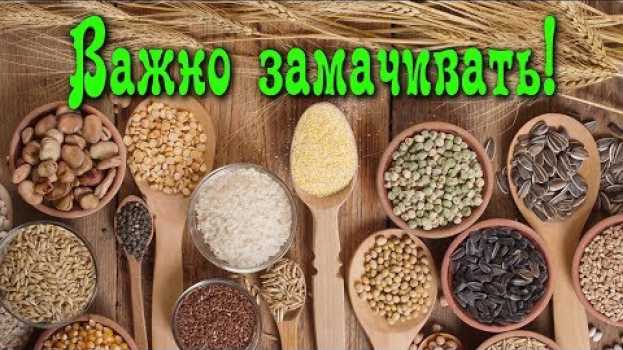 Video Почему так важно ЗАМАЧИВАТЬ КРУПЫ, ЗЁРНА, ОРЕХИ, БОБОВЫЕ...   türkçe