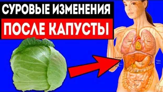Video Что будет, если есть КАПУСТУ КАЖДЫЙ ДЕНЬ / Здоровье начнет изменятся в... su italiano