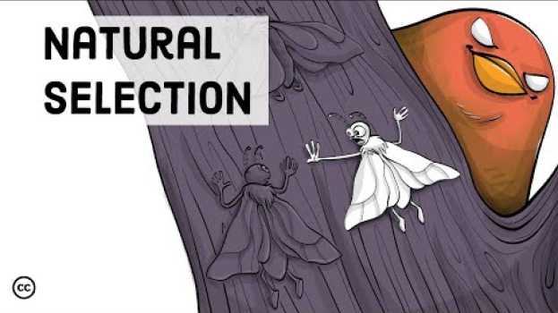 Video Darwin's Theory of Evolution: Natural Selection em português