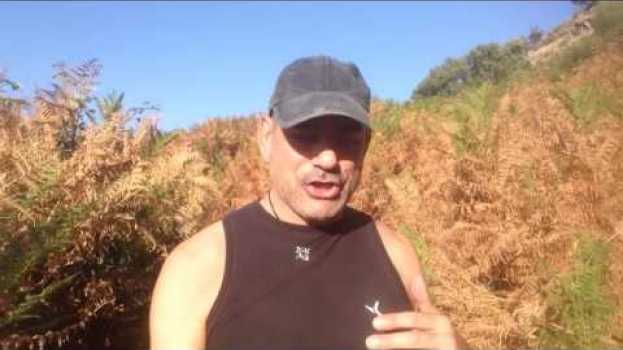 Video Devi rinunciare a ciò che sei per diventare ciò che vuoi essere en español