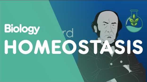 Video What is Homeostasis? | Physiology | Biology | FuseSchool   türkçe