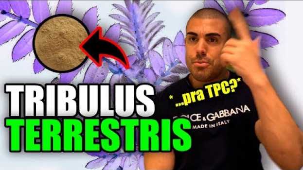 Video Tudo sobre tribulus terrestris en français