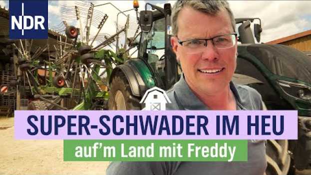 Video Freddys wichtigste Zeit: Hochsaison für die Tierfutter-Ernte | Folge 7 | NDR auf'm Land po polsku