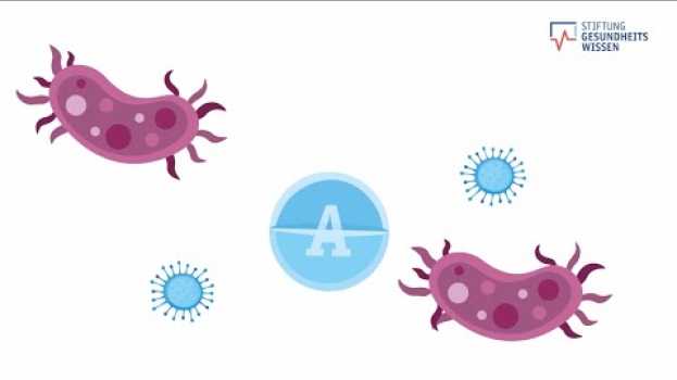 Video Was sind Antibiotika? | Stiftung Gesundheitswissen en español