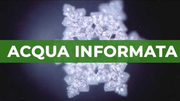 Video La memoria dell'ACQUA e l'acqua informata | Maurizio Ricciardi auf Deutsch