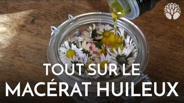 Video Le macérat huileux : des plantes, de l'huile, et hop ! auf Deutsch