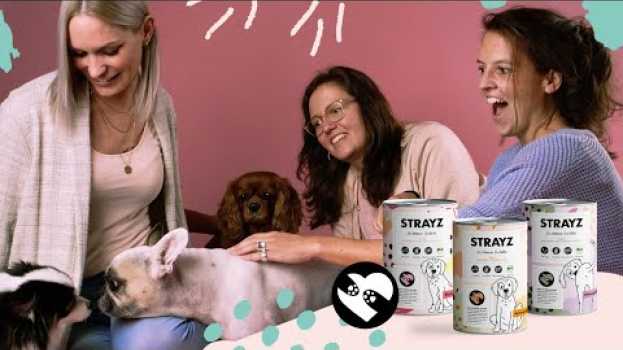 Video STRAYZ auch für Doggos - Unsere Crowdfunding-Kampagne auf Startnext in English