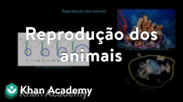 Video Reprodução dos animais en français