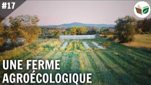Video Une ferme maraîchère agroécologique, les Jardins du Héron - FTD #17 po polsku