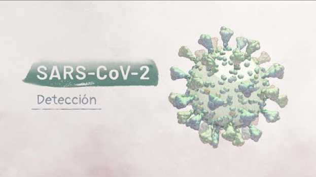 Video La biología del SARS-CoV-2: Detección | Video HHMI BioInteractive   türkçe