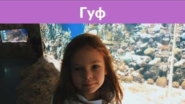 Video 18-летняя любовница Гуфа: «Он был хорош только в постели» en español
