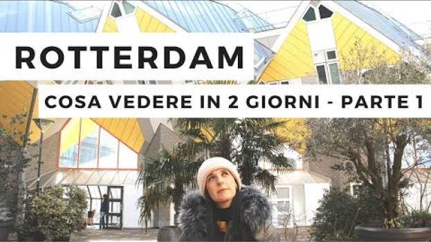 Video ROTTERDAM - COSA VEDERE IN 2 GIORNI - PARTE 1 en français