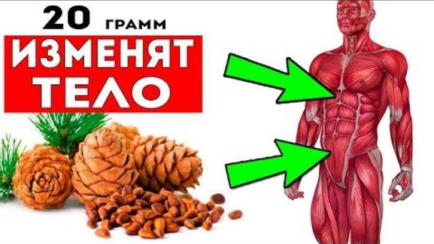 Video ВОТ КАК КЕДРОВЫЙ ОРЕХ ИЗМЕНИТ ТВОЕ ТЕЛО! Знаете ли вы, сколько можно съедать таких орехов в день?   türkçe