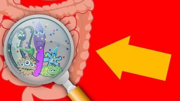 Video Cosa SUCCEDE quando abbiamo L'INFLUENZA?   türkçe