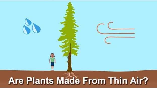 Video Are Plants Made From Thin Air?   türkçe