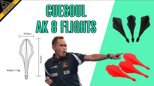 Video What in the CUESOUL TRAJ Flight is this??? em português