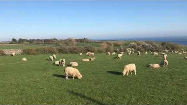 Video Hardy's Wessex - View to Seacombe from Worth Matravers en español