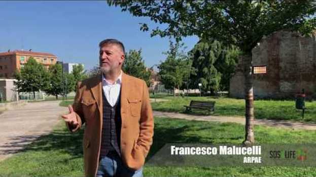 Video [SOS4Life] Le Pillole sul suolo - I parchi e le città en español