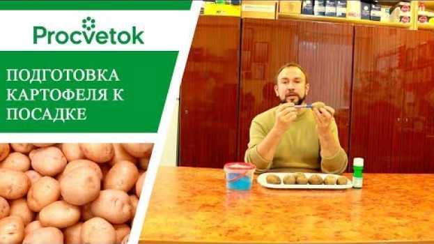 Video А вы подготовили картофель к посадке? Как увеличить урожай картофеля на 20%   türkçe